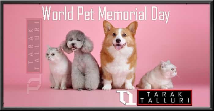 World Pet Memorial Day