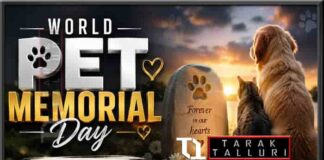World Pet Memorial Day