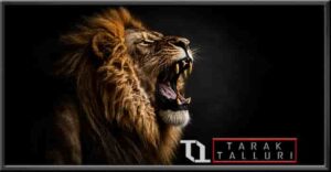 India had declared the lion as its national animal.