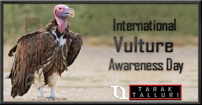 International Vulture Awareness Day