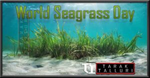 World Seagrass Day