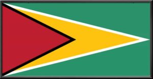 guyana flag