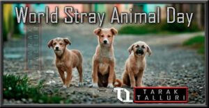 World Stray Animal Day