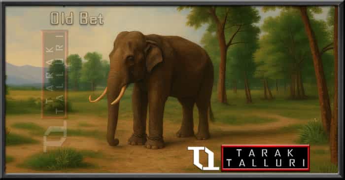 old bet first america elephant