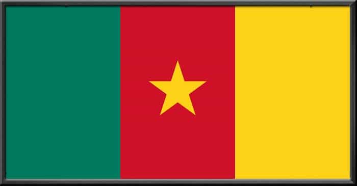 cameroon flag