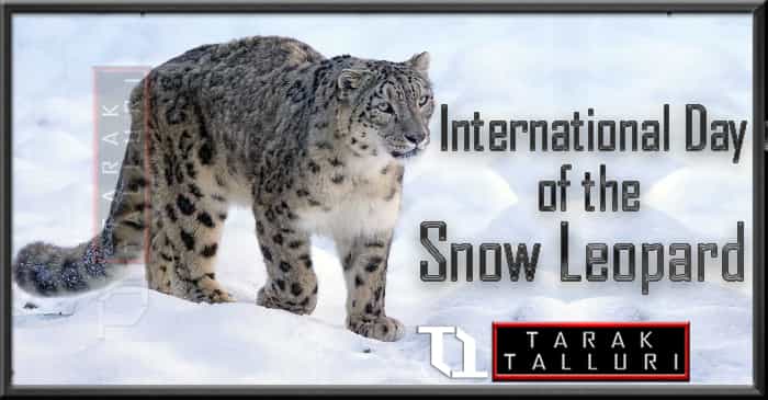 International Day of the Snow Leopard