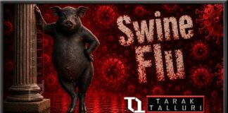 swine flu (H1N1) swine flu in India was confirmed India's first confirmed swine flu death occurred