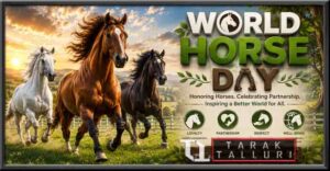 World Horse Day